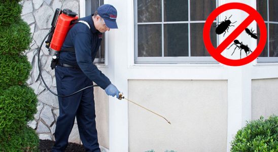 Gökdere Kemirgen İlaçlama böcek ilaçlama ve haşere kontrolü — ilaclama-tr.com